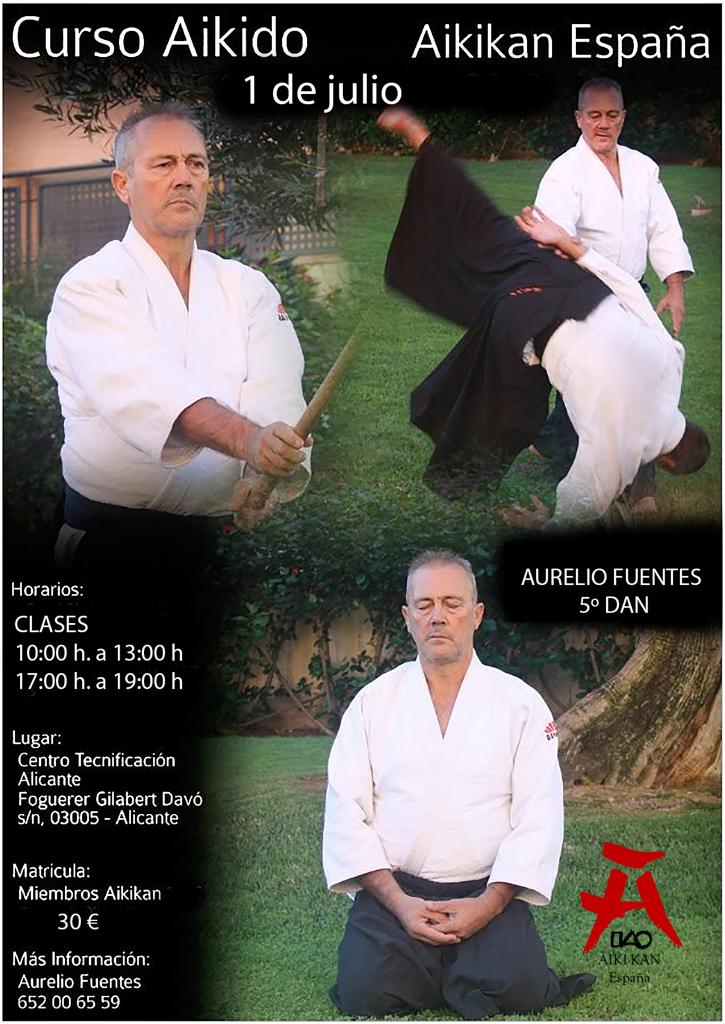 Curso de Aikido en Alicante impartido por Aurelio Fuentes 5 Dan